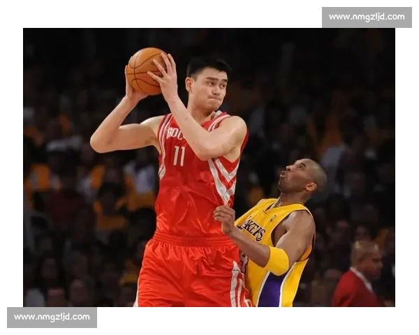 苏 - 伯德：2008 北京奥运，篮球与荣耀的难忘印记